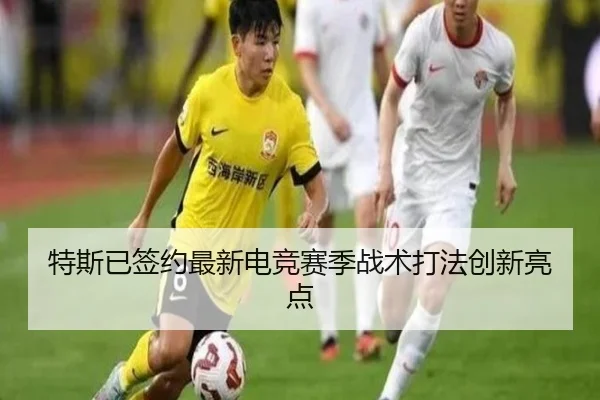 特斯已签约最新电竞赛季战术打法创新亮点